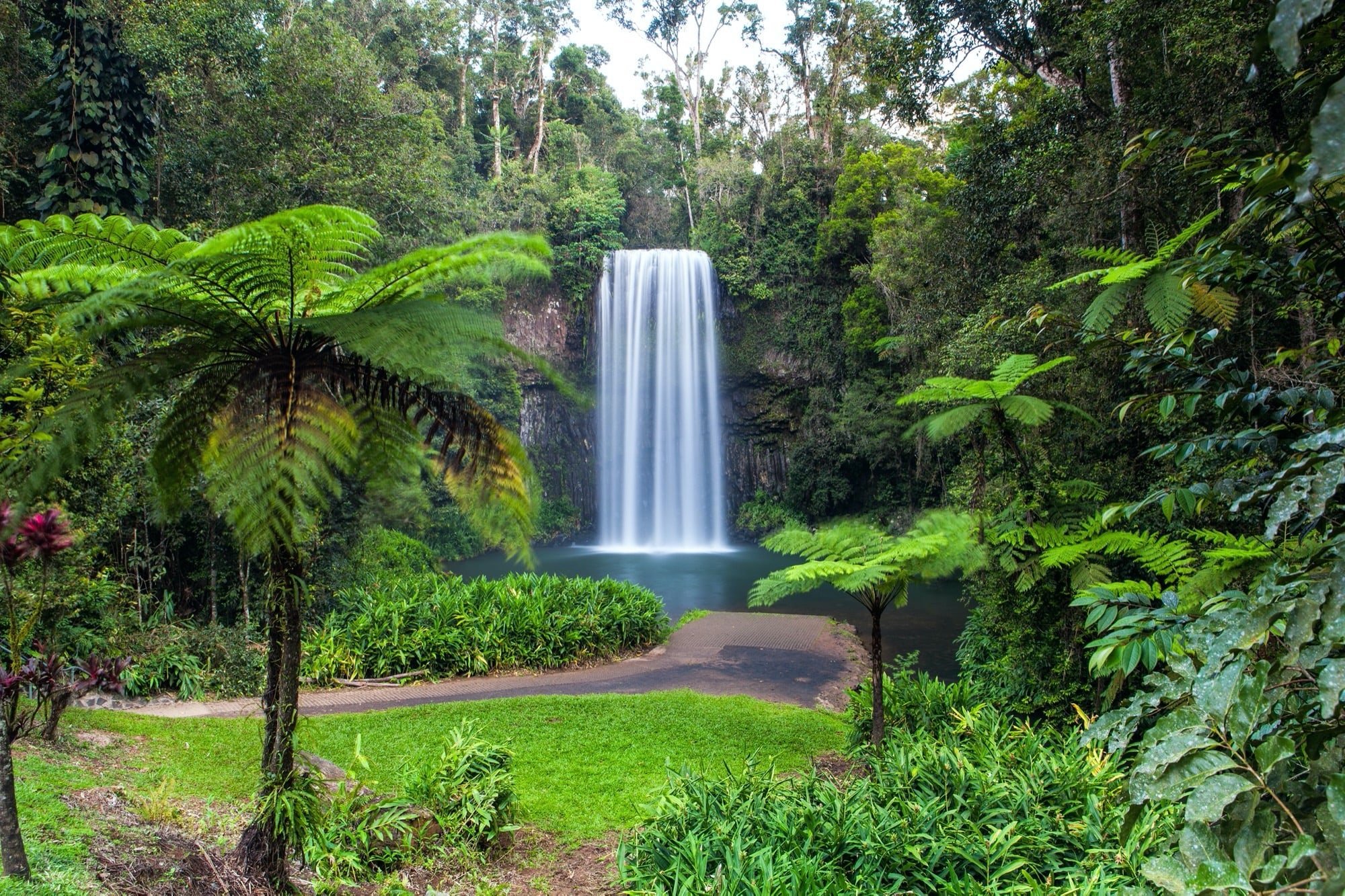 Koala Court | Cairns Hotel & Apartments